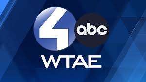 Fight the Blight Two-Part Interview on WTAE January 5th and 12th